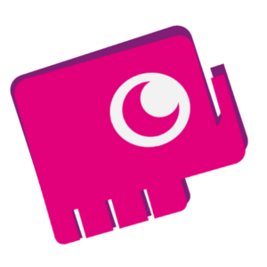 Sally Bollywood Elephant 