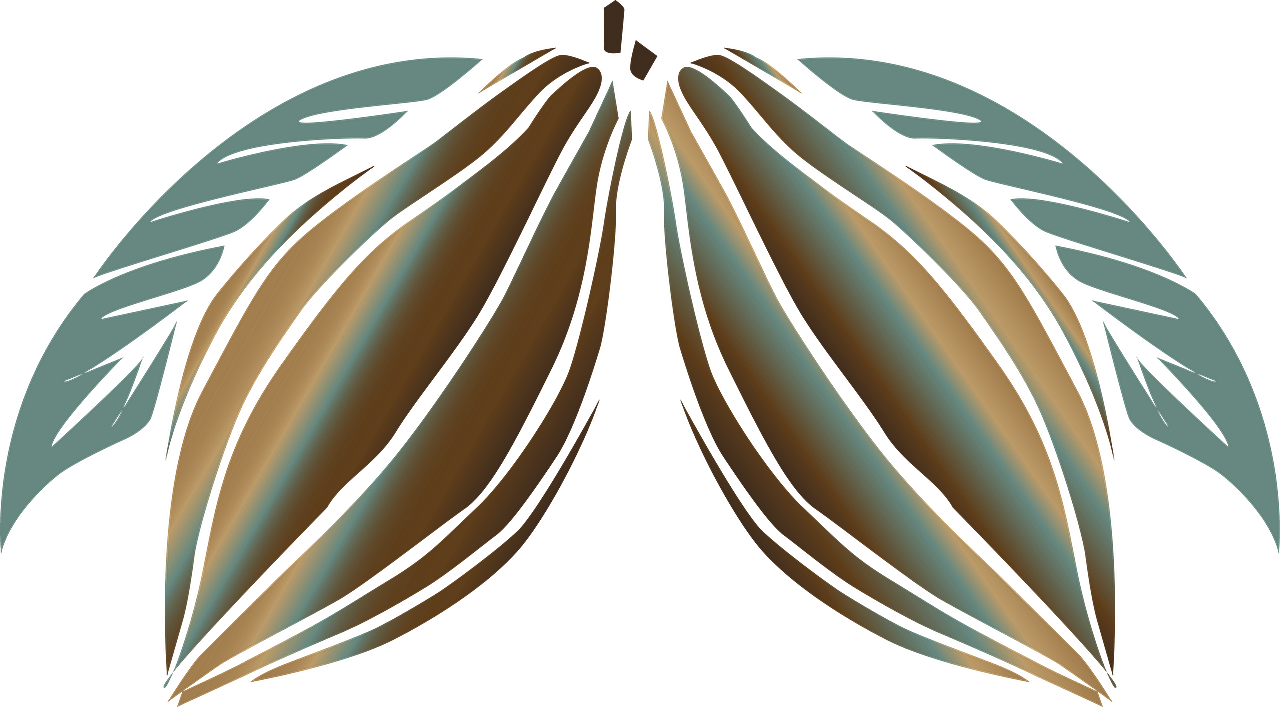Cacao Beans On Leaves