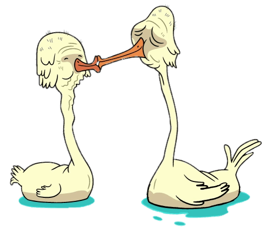 Adventure Time Old Swans