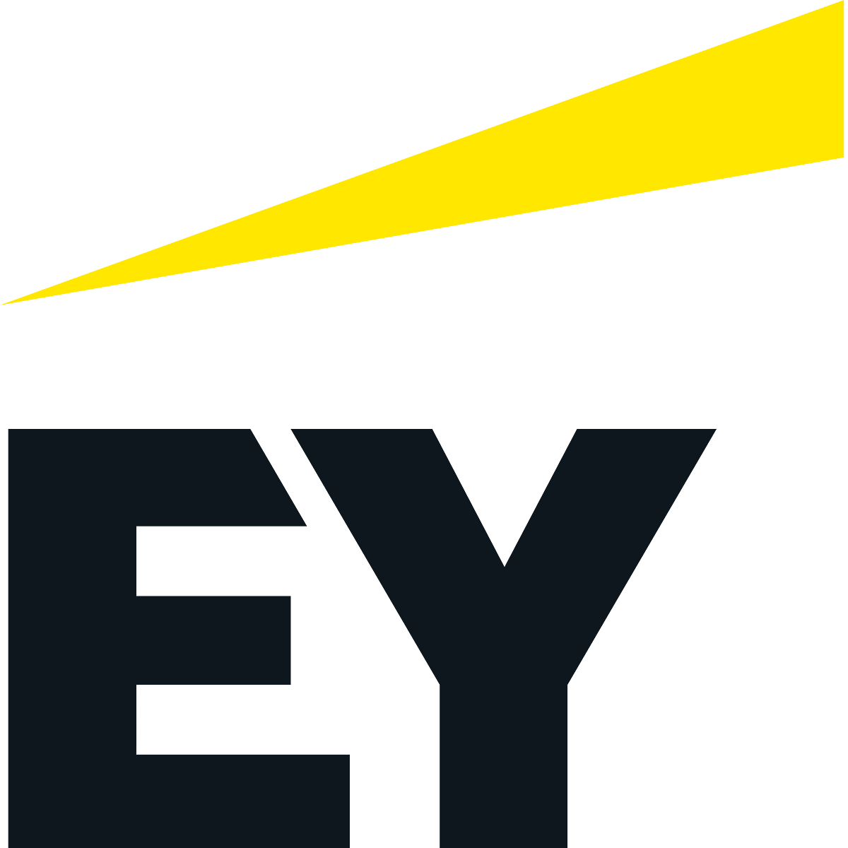E&Y Ernst & Young 