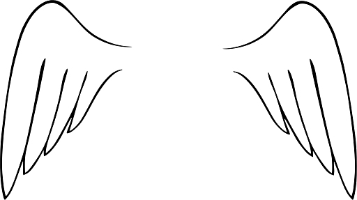 Basic Outline of Wings