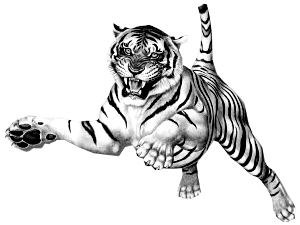 Jumping Tiger Clipart