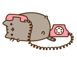 Pusheen on the Phone