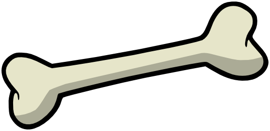 Bone Drawing