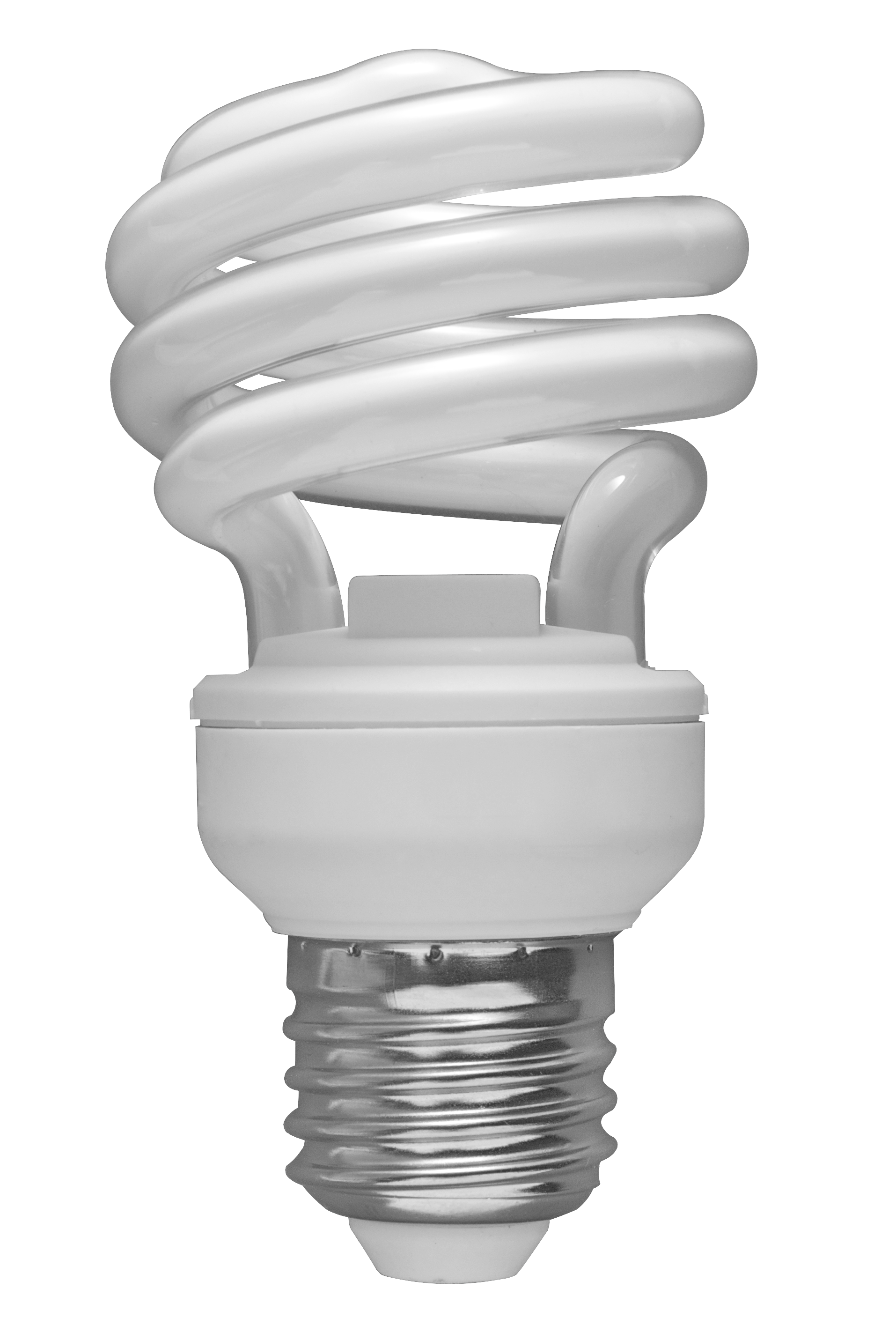 Economy White Bulb