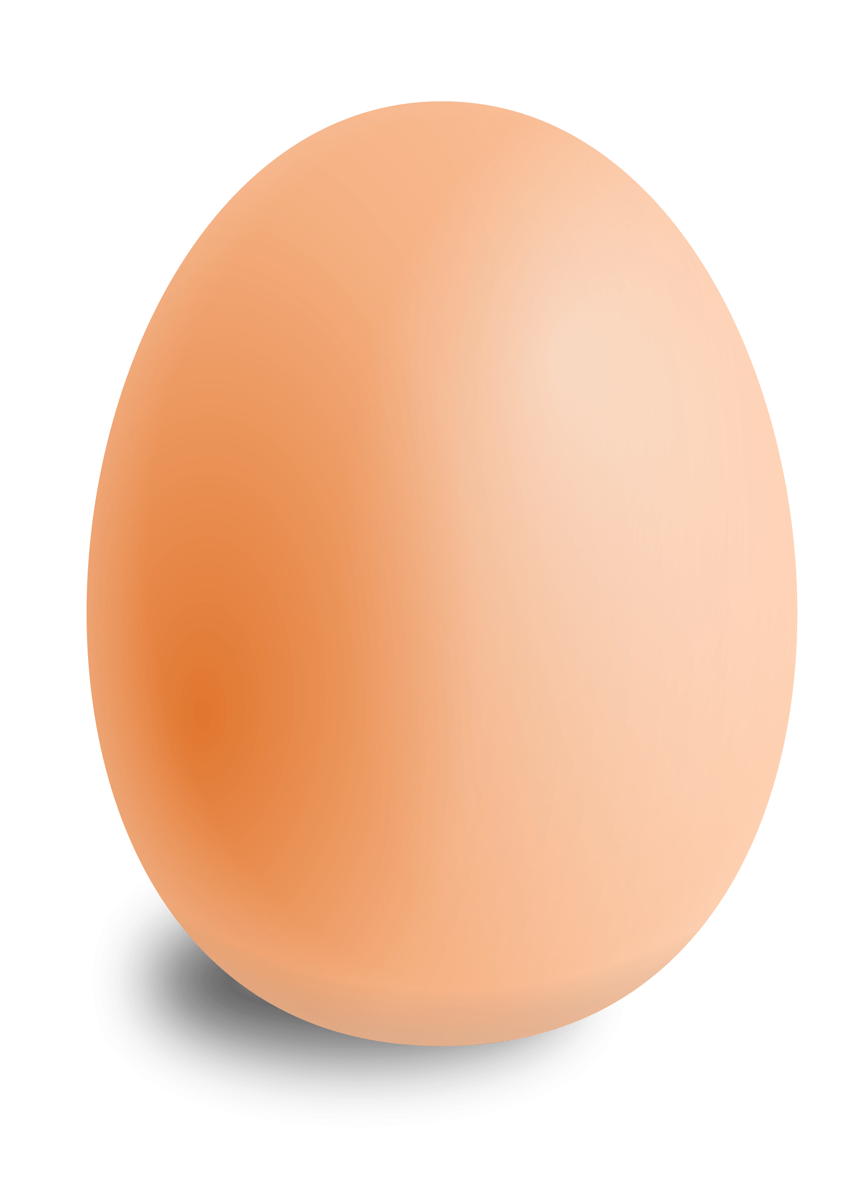 Single Egg