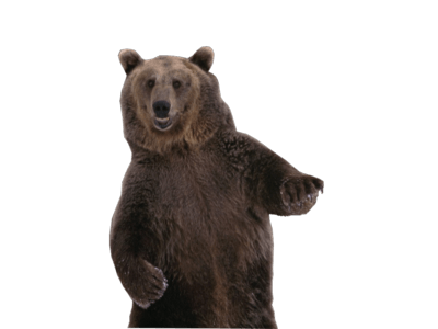 Dancing Bear