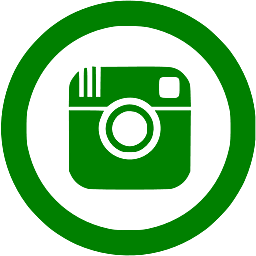 Instagram logo green and white