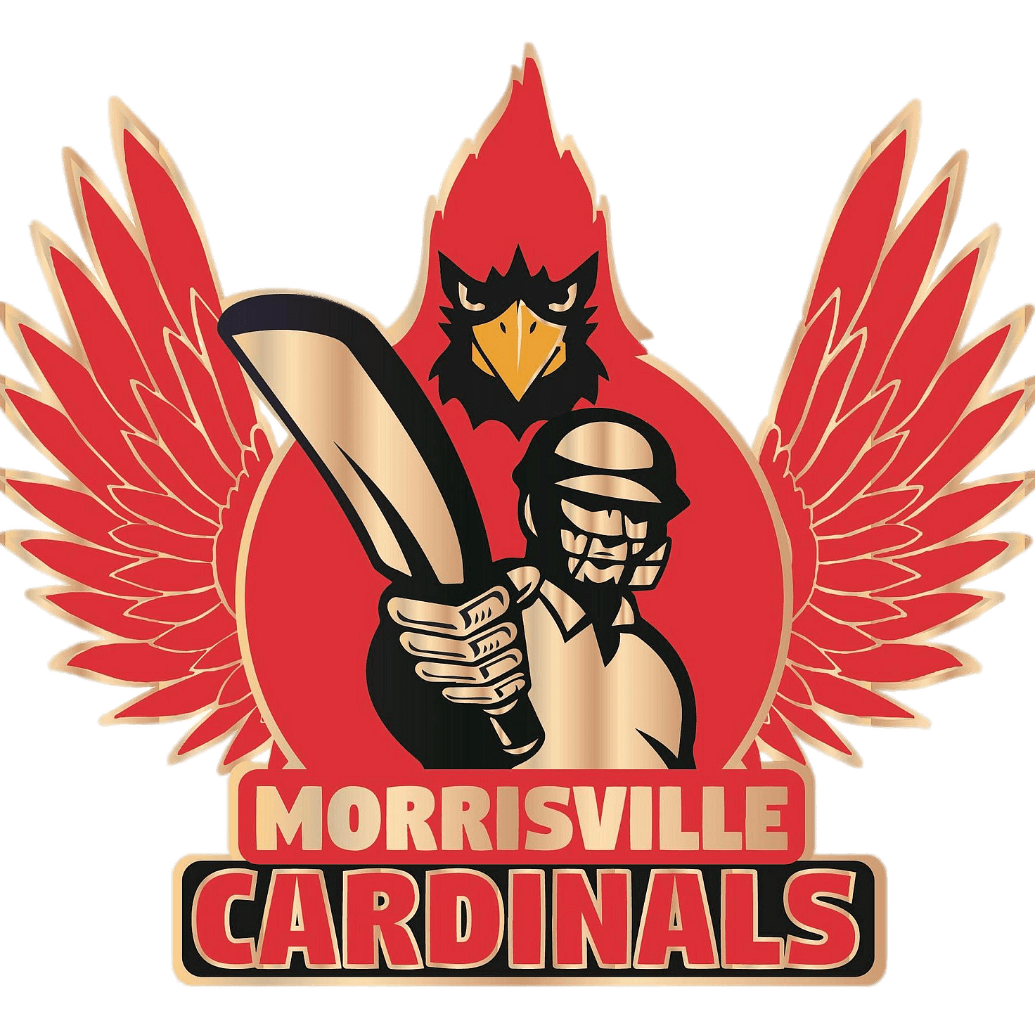 Morrisville Cardinals Cricket Team 