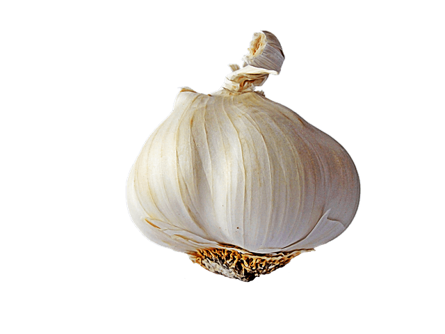 Garlic Single