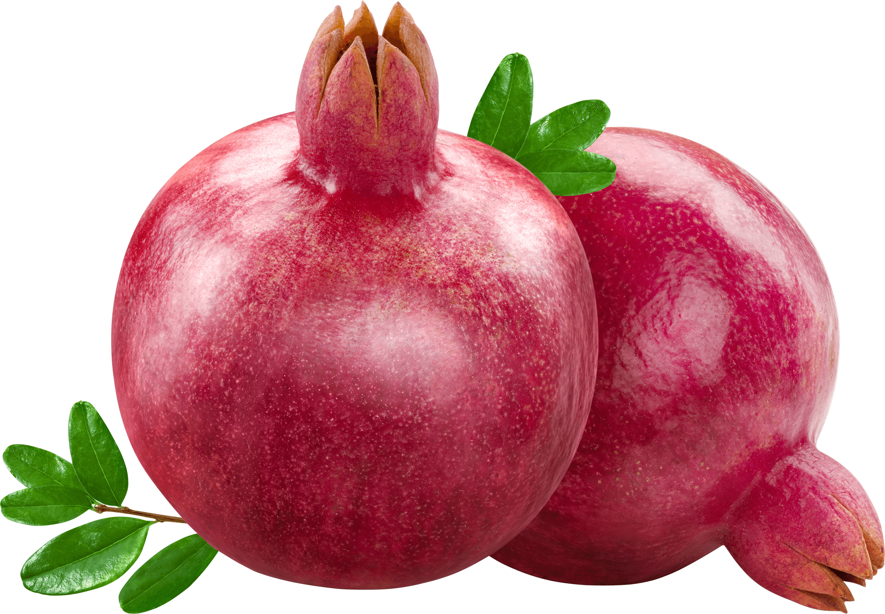 Duo Pomegranate