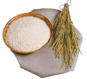 Rice Stalks and Bowl