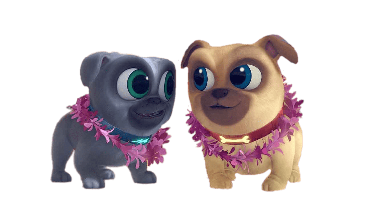 Puppy Dog Pals Hawaiian Style