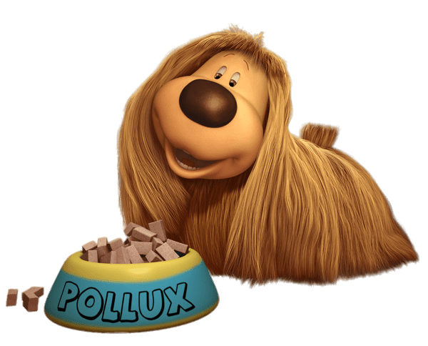 Pollux (Dougal) With Bowl Of Dog Food