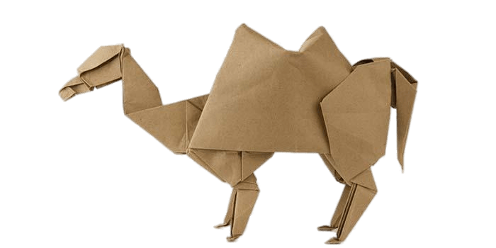 Origami Camel
