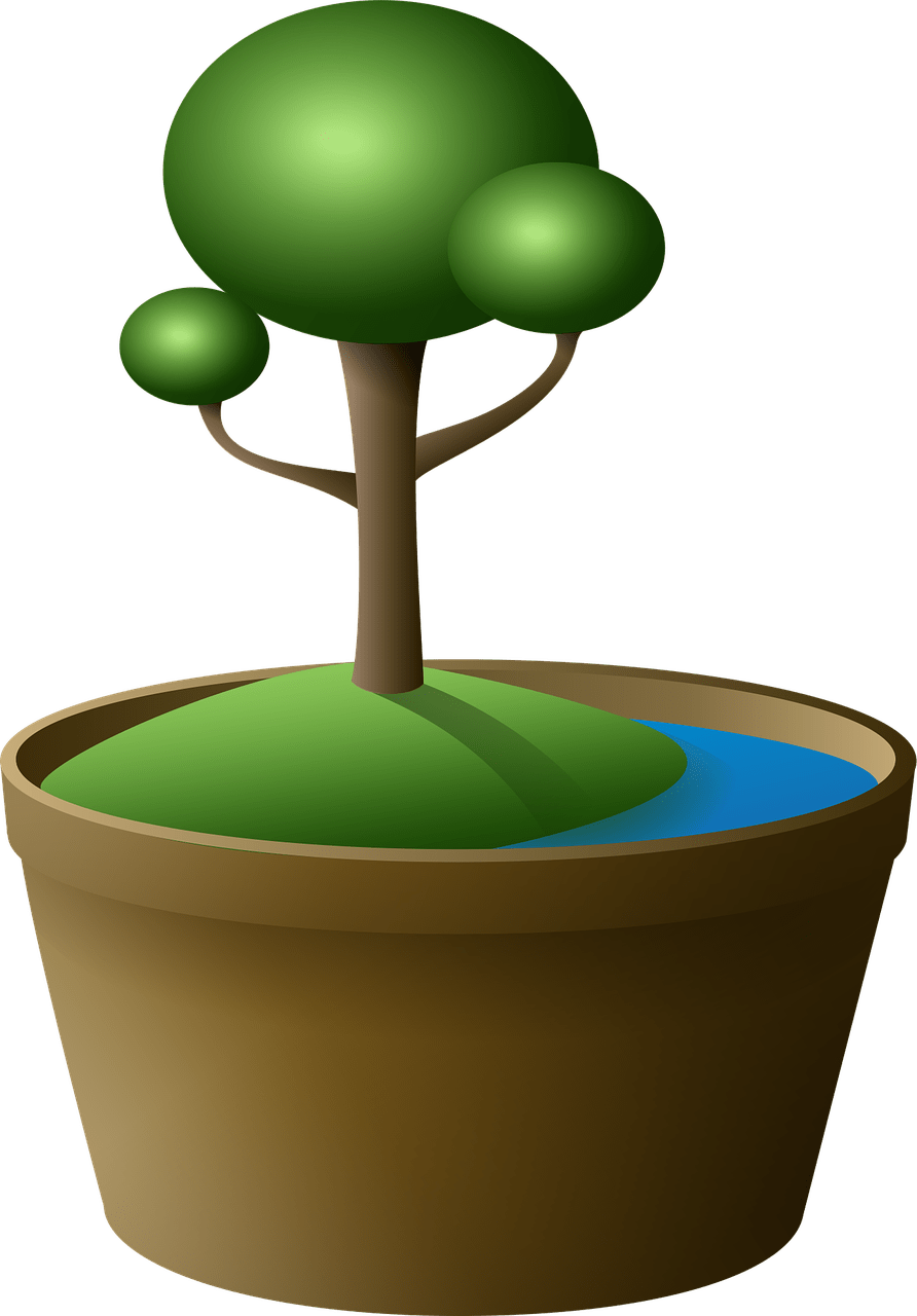 Tree In Pot Clipart