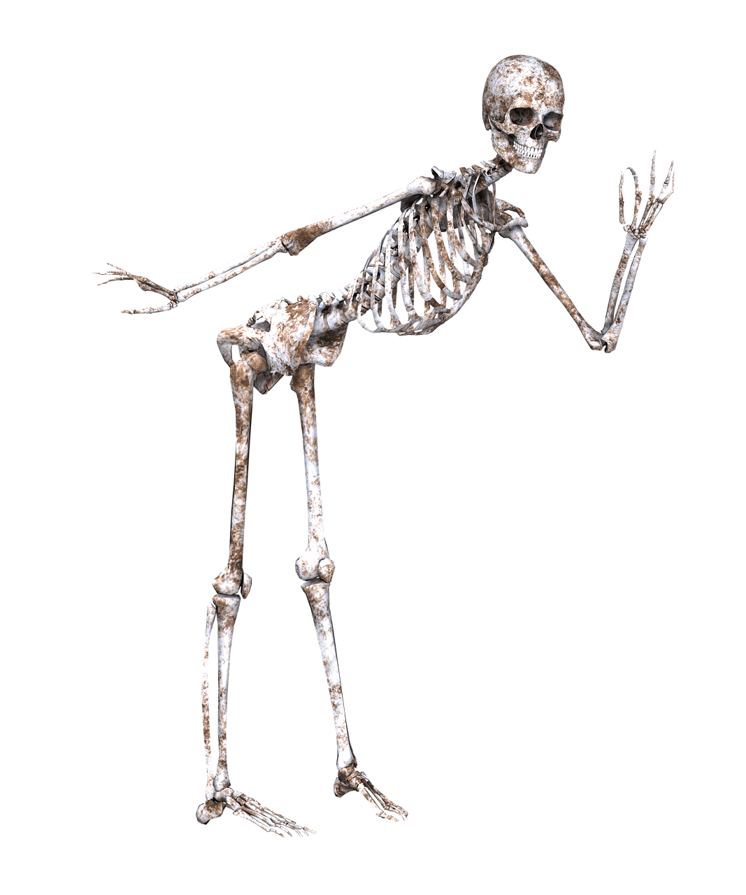 Skeleton Posing
