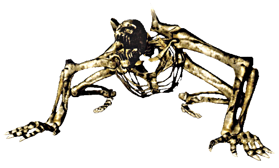 Dark Souls Skeleton Beast