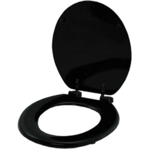 Black Toilet Seat