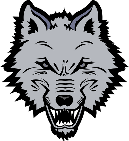New England Sea Wolves