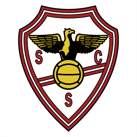 Sport e Comercio Salgueiros