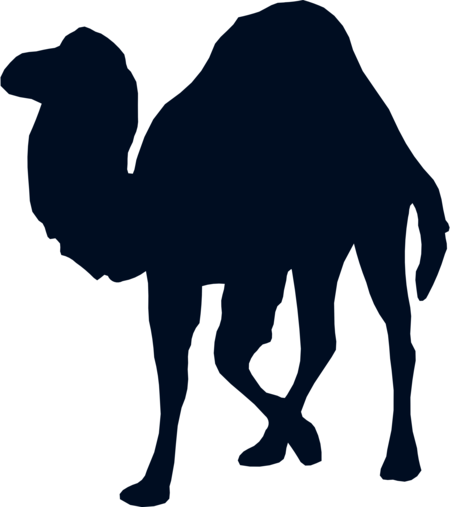 Perl Programming Language