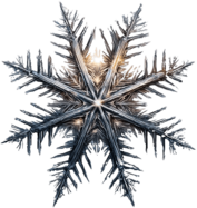 Starburst Snowflake
