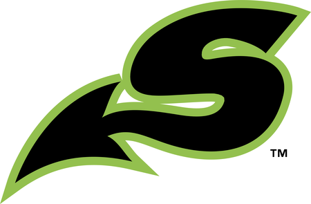 Shreveport Swamp Dragons