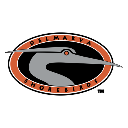 Delmarva Shorebirds