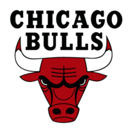 Chicago bulls