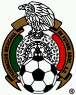 Federación Mexicana de Voleibol