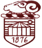 Stenhousemuir Cricket Club 