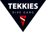 Tekkies