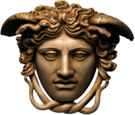 White Medusa Head