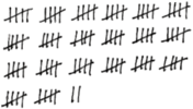 Rows of Tally Marks