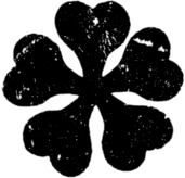 Black Five-Leaved Clover