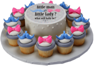 Gender Reveal Cake and Cupcakes