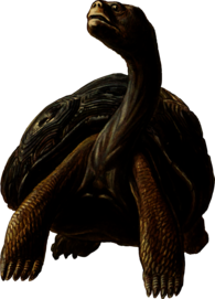 Prehistoric Tortoise Clipart