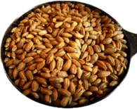 Wheat Grains