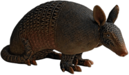 Armadillo Garden Statue