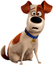 The Secret Life Of Pets Max