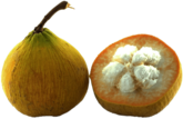Halved Santol Fruit