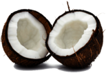 Coconut Duo
