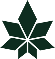 Wama Underwear thumbnail