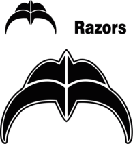 Razor