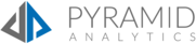 Pyramid Analytics
