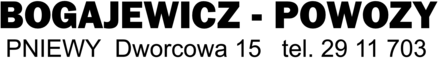 Bogajewicz Powozy