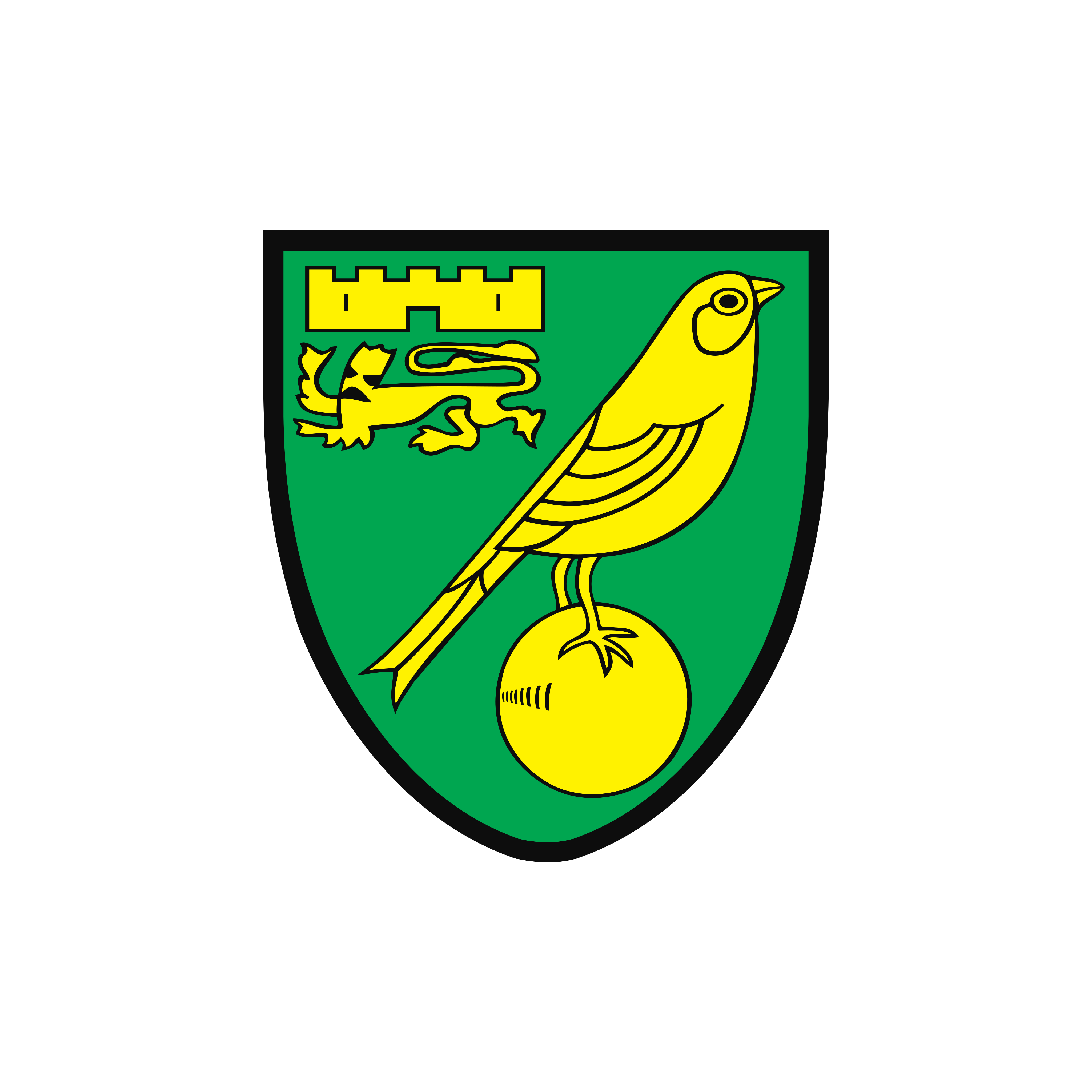 Norwich City Fc