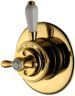 Gold Shower Thermostat