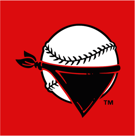 Quad City River Bandits